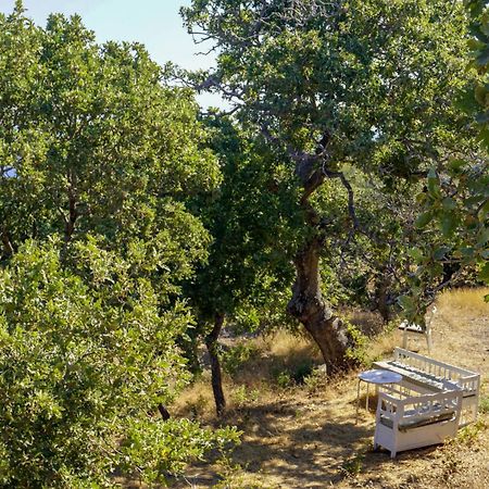 My Old Stone House In A 2 000 Sqm Private Garden With Fab Glamping Tent Mandrákion Buitenkant foto