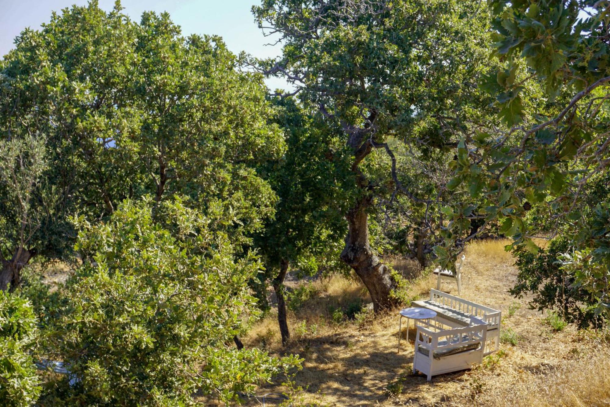 My Old Stone House In A 2 000 Sqm Private Garden With Fab Glamping Tent Mandrákion Buitenkant foto